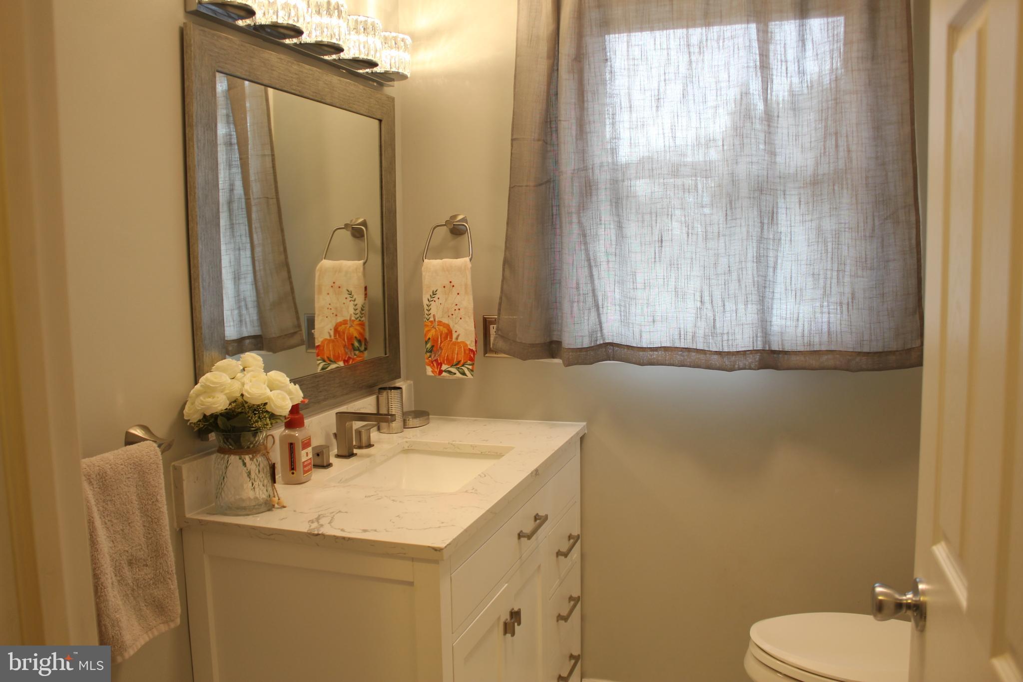 294 Starr Road Landenberg, PA 19350 - Photo 20 of 68 a bathroom with a sink vanity mirror and toilet