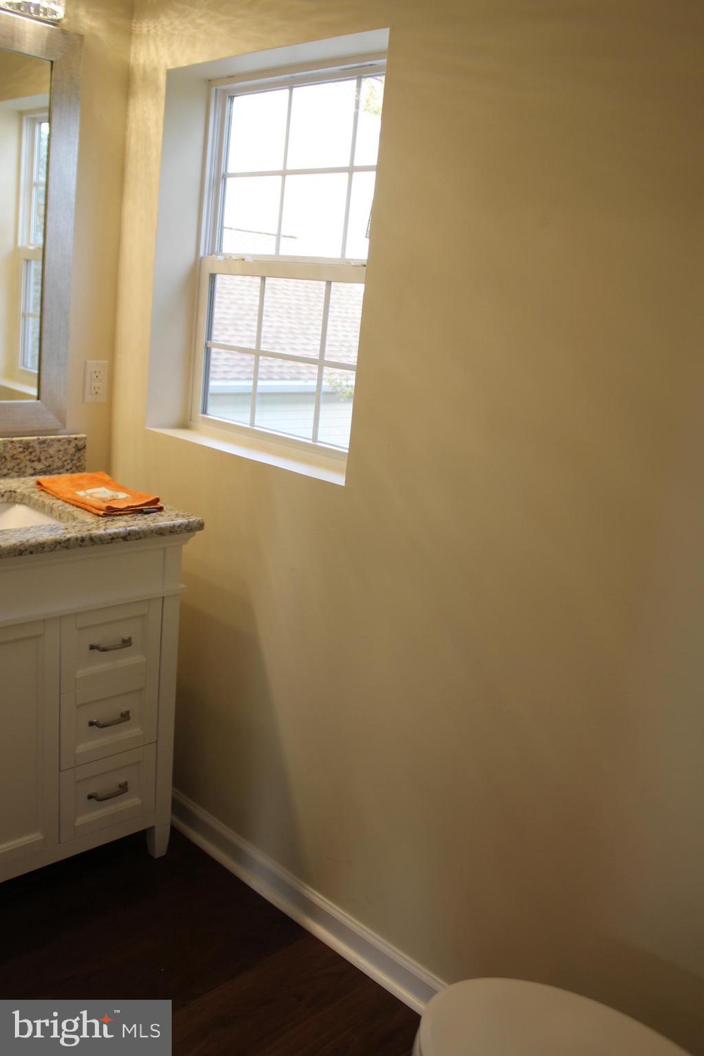 294 Starr Road Landenberg, PA 19350 - Photo 54 of 68 a bathroom with a window a vanity and a sink