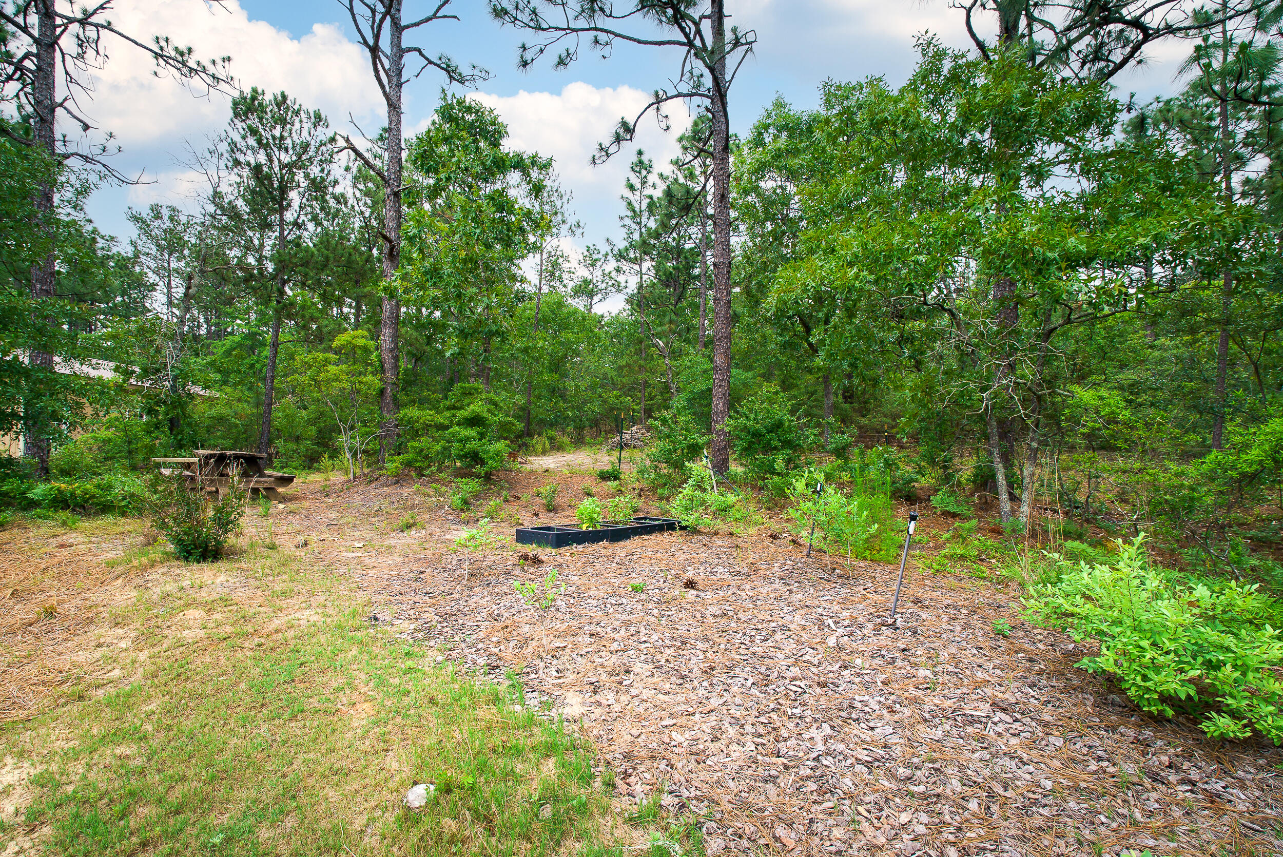 280 Good Hope Farms Road Aiken, SC 29803 - Photo 54 of 58 MEGHANNPADGETT_280GoodHopeFarmsRd-64