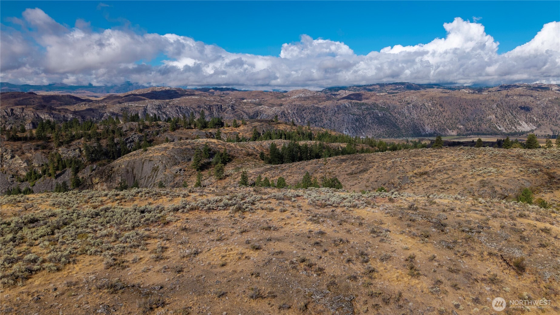 0 Tbd Pharr Out - 8 Way Riverside, WA 98849 - Photo 4 of 8 a view of a dry yard with lots of trees