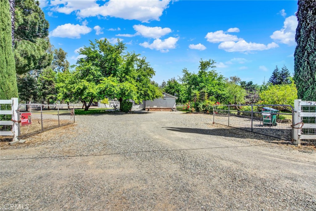6204 County Rd 53 Willows, CA 95988 - Photo 4 of 75