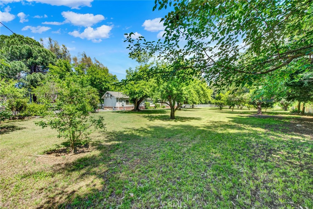 6204 County Rd 53 Willows, CA 95988 - Photo 6 of 75