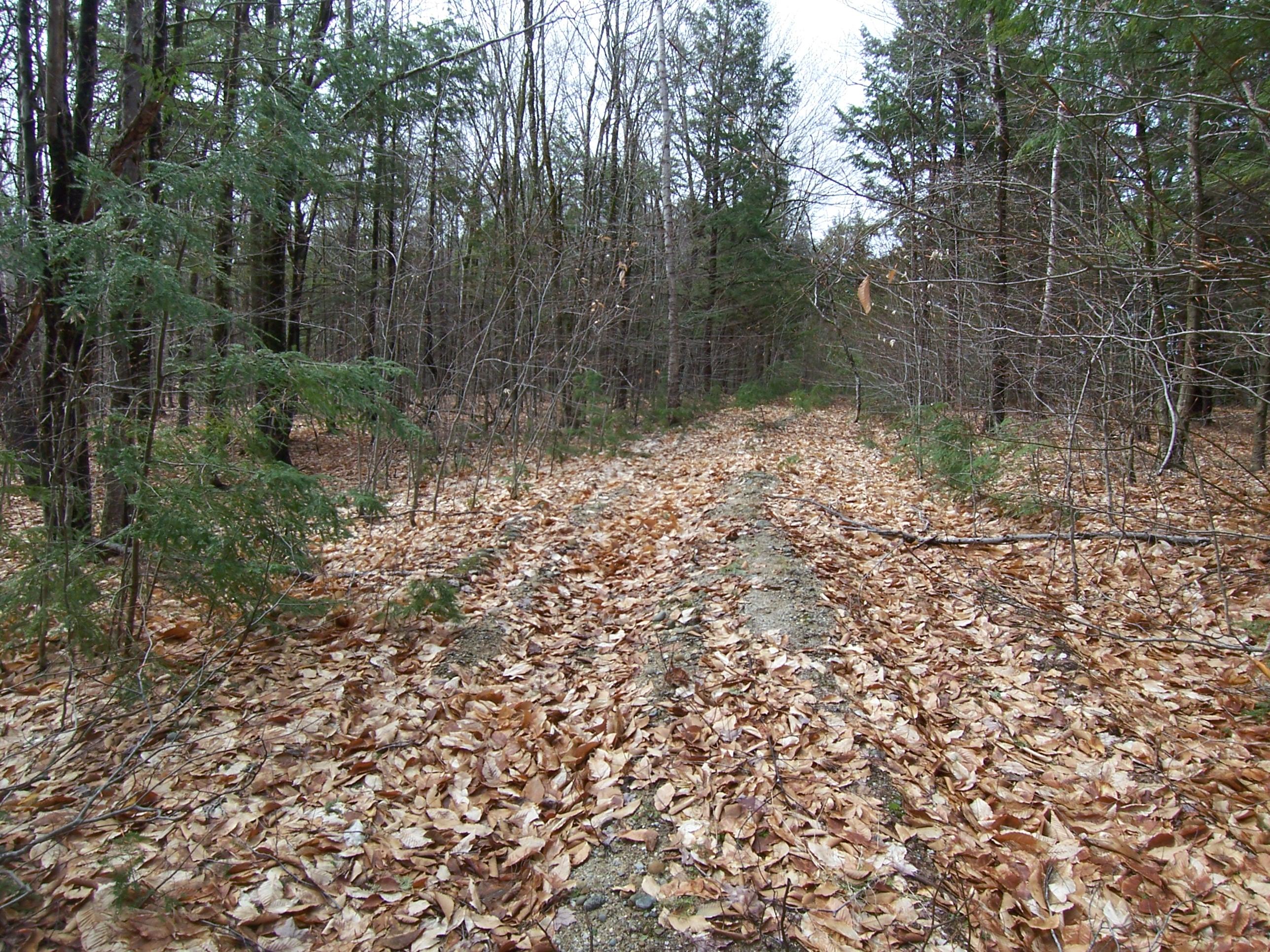 14-2 Shore Road Otisfield, ME 04270 - Photo 14 of 16 105_5906