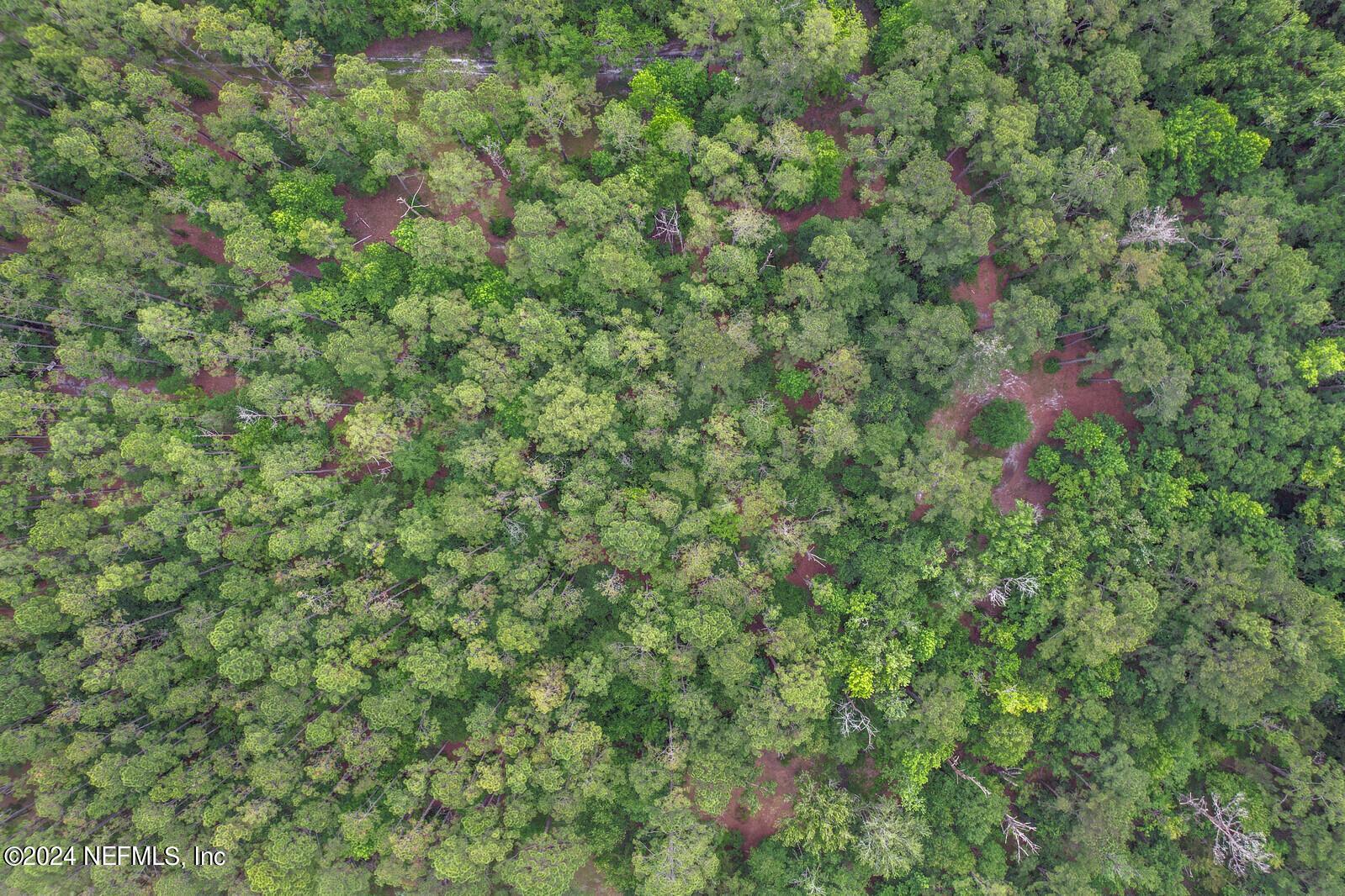 6695 Highway 16 St. Augustine, FL 32092 - Photo 36 of 46