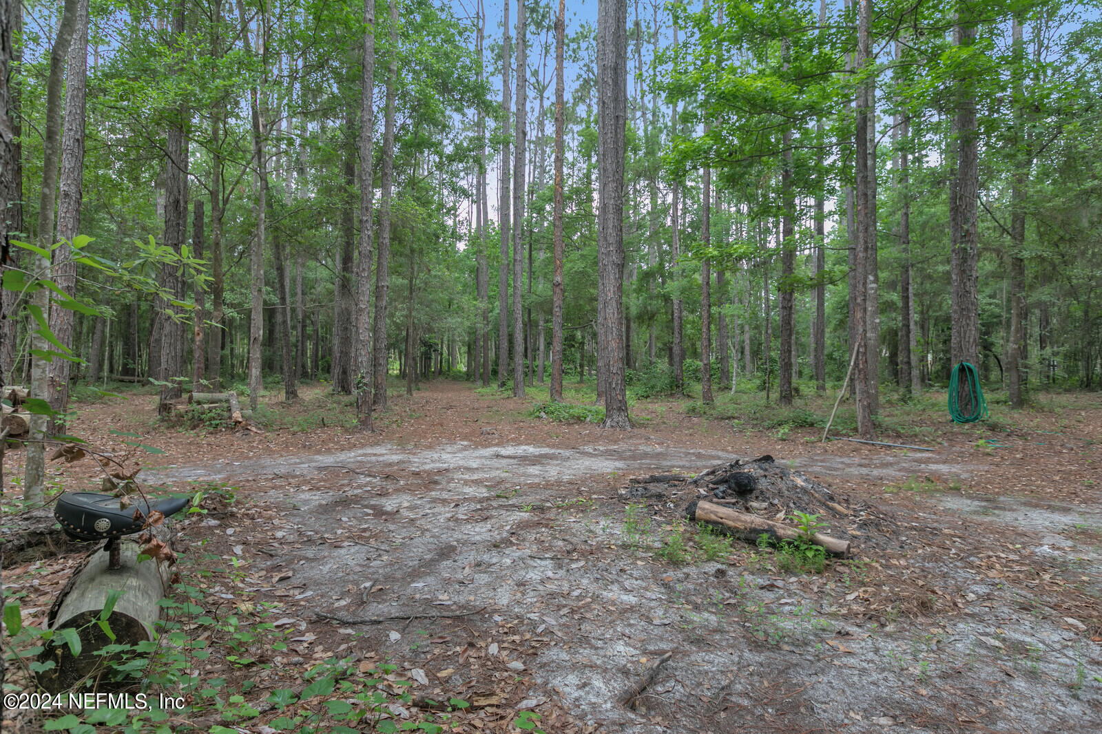 6695 Highway 16 St. Augustine, FL 32092 - Photo 40 of 46 a view of a forest with trees in the background