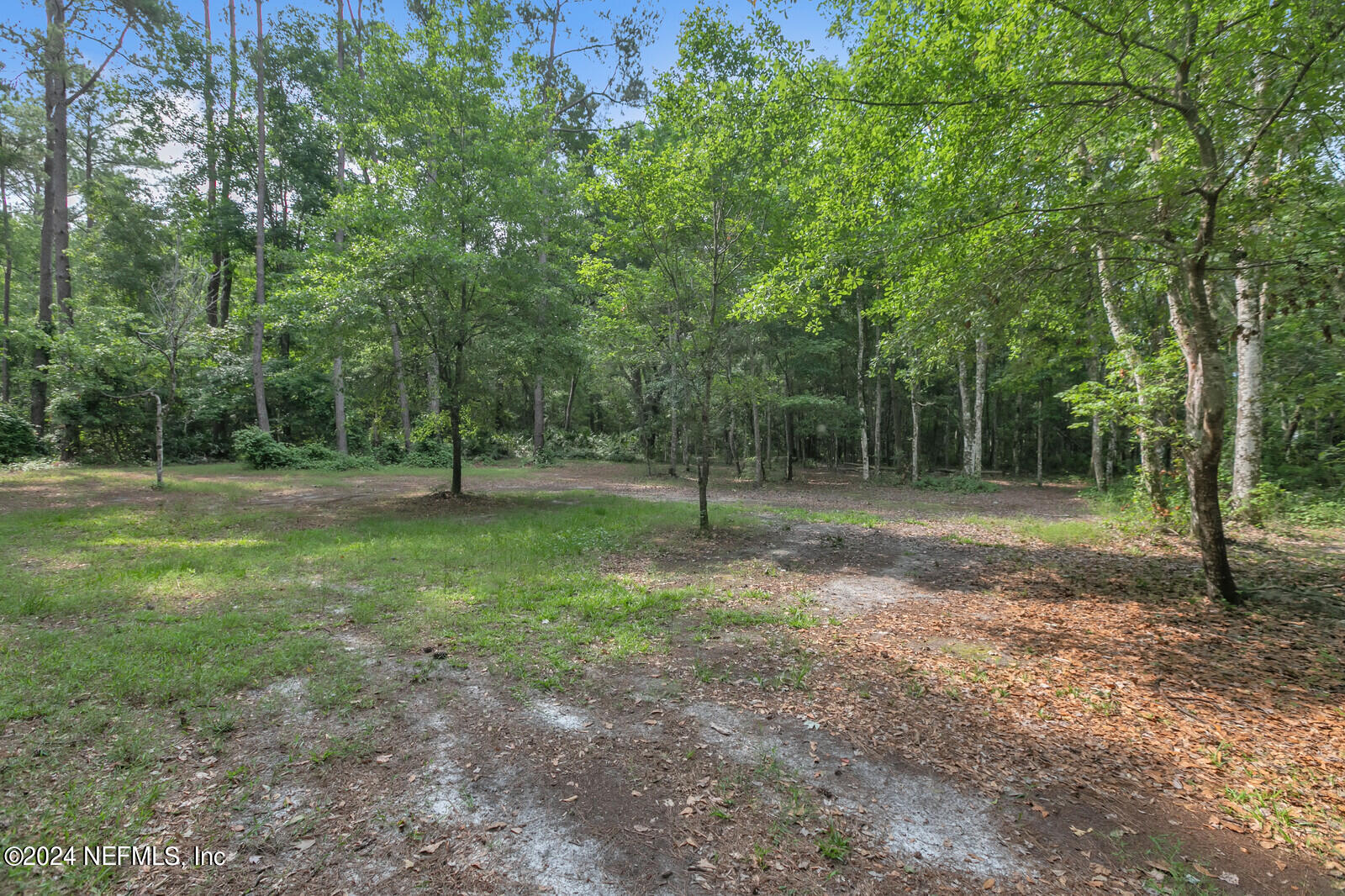 6695 Highway 16 St. Augustine, FL 32092 - Photo 43 of 46 a view of a park with trees