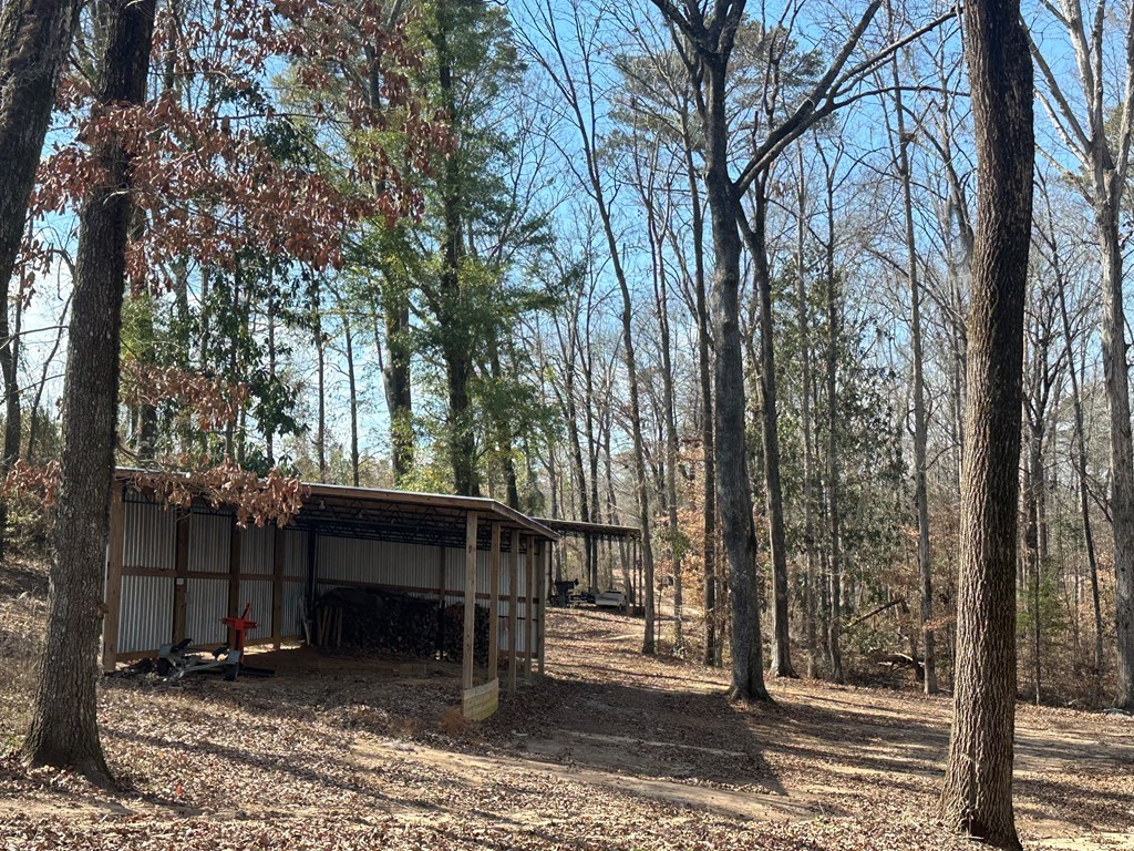2422 County Road 97 Abbeville, AL 36310 - Photo 37 of 50
