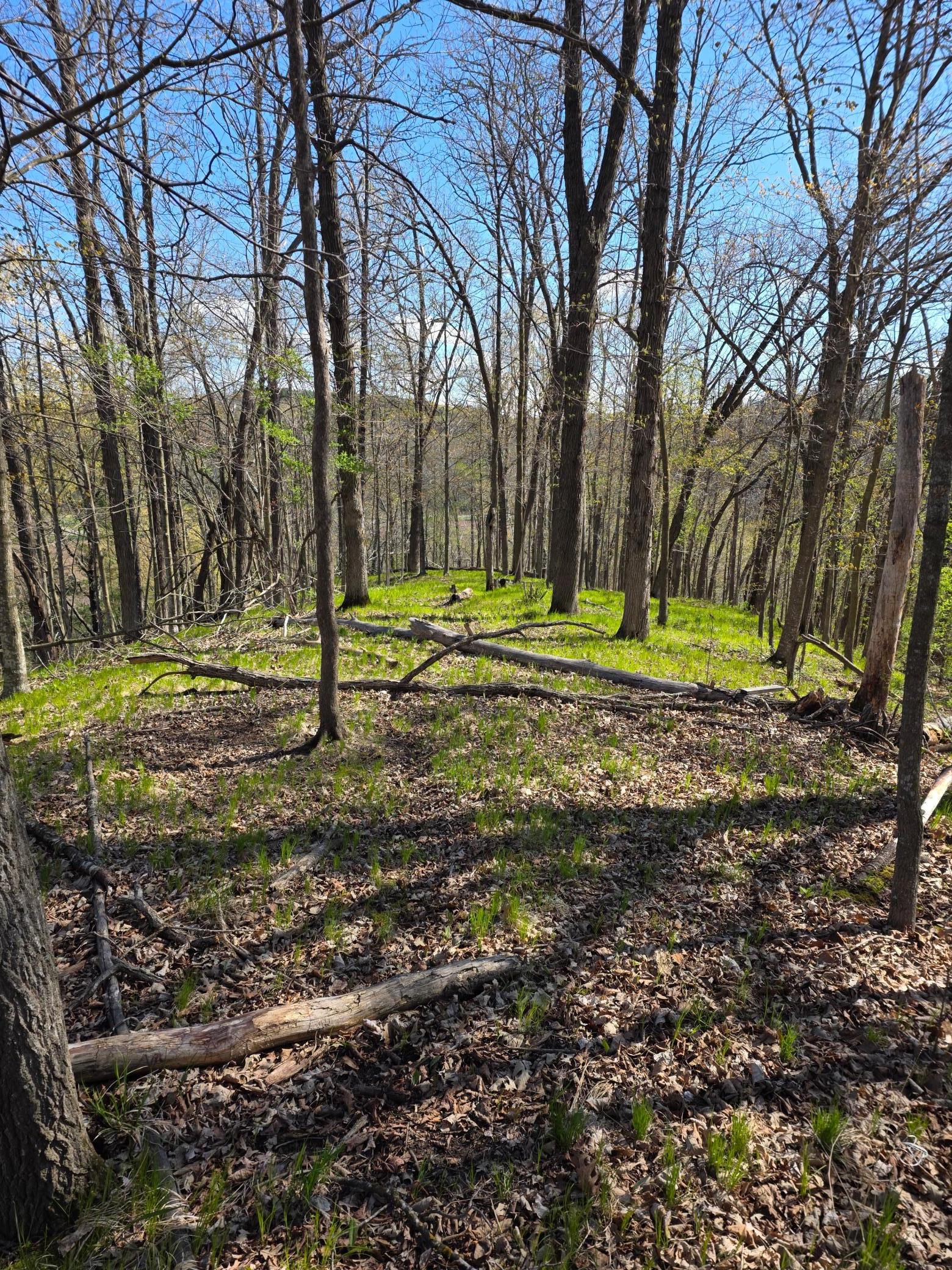 Xxx Wagon Trail Road Spring Valley, WI 54767 - Photo 5 of 8