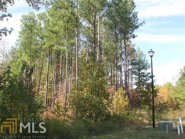 13651 Inman Road Hampton, GA 30228 - Photo 1 of 1 Gallery Image 1