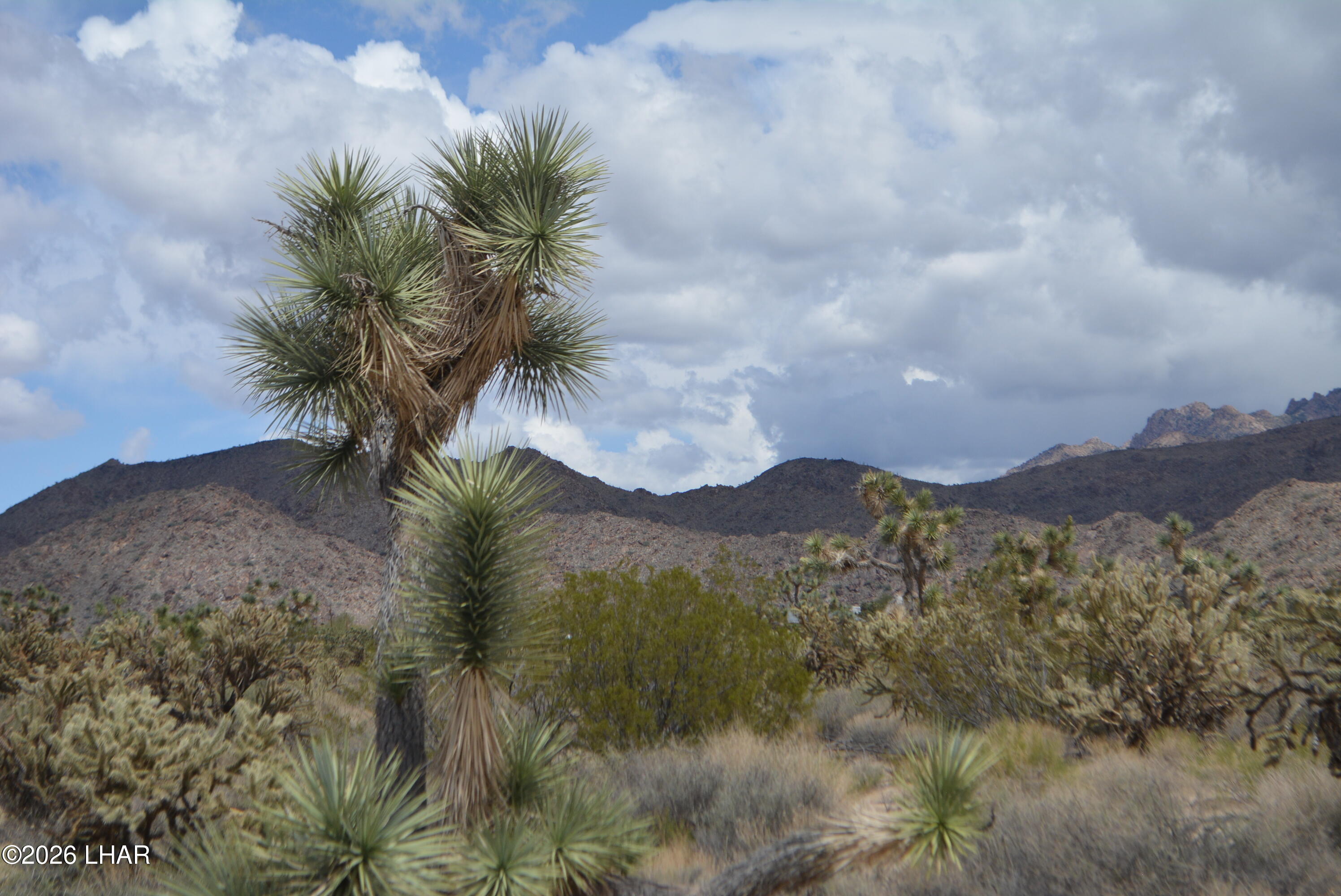 11900 Alan Road Yucca, AZ 86438 - Photo 61 of 93 DSC_1410