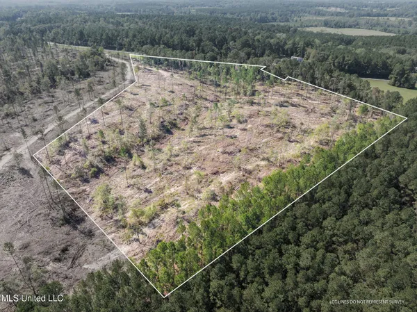 $84,900 | 14.55 Shirley Sanford Road, Seminary, MS 39479