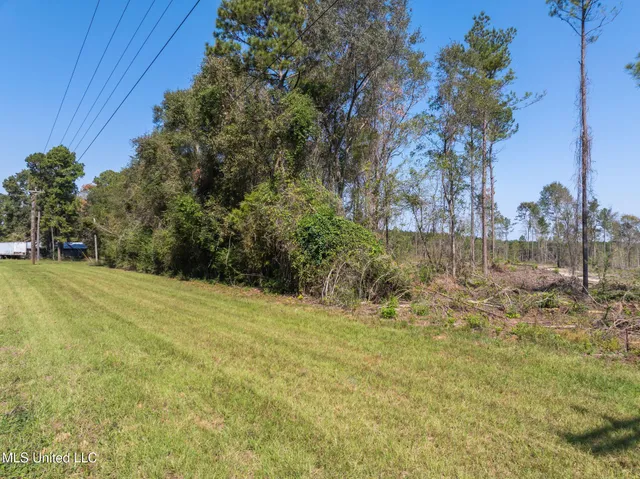 $84,900 | 14.55 Shirley Sanford Road, Seminary, MS 39479