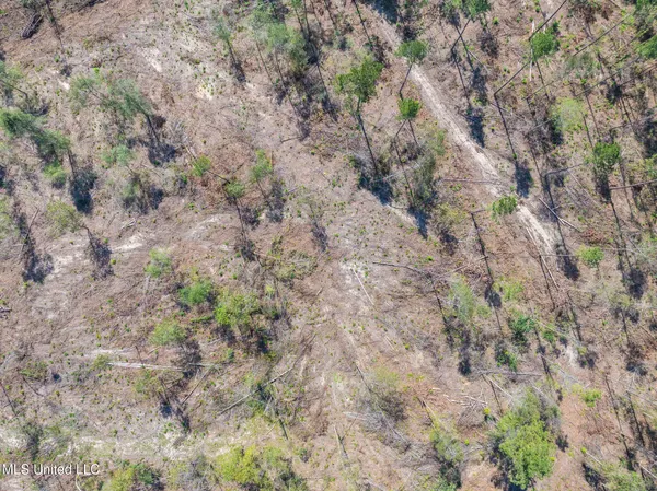 $84,900 | 14.55 Shirley Sanford Road, Seminary, MS 39479