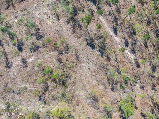 $84,900 | 14.55 Shirley Sanford Road, Seminary, MS 39479