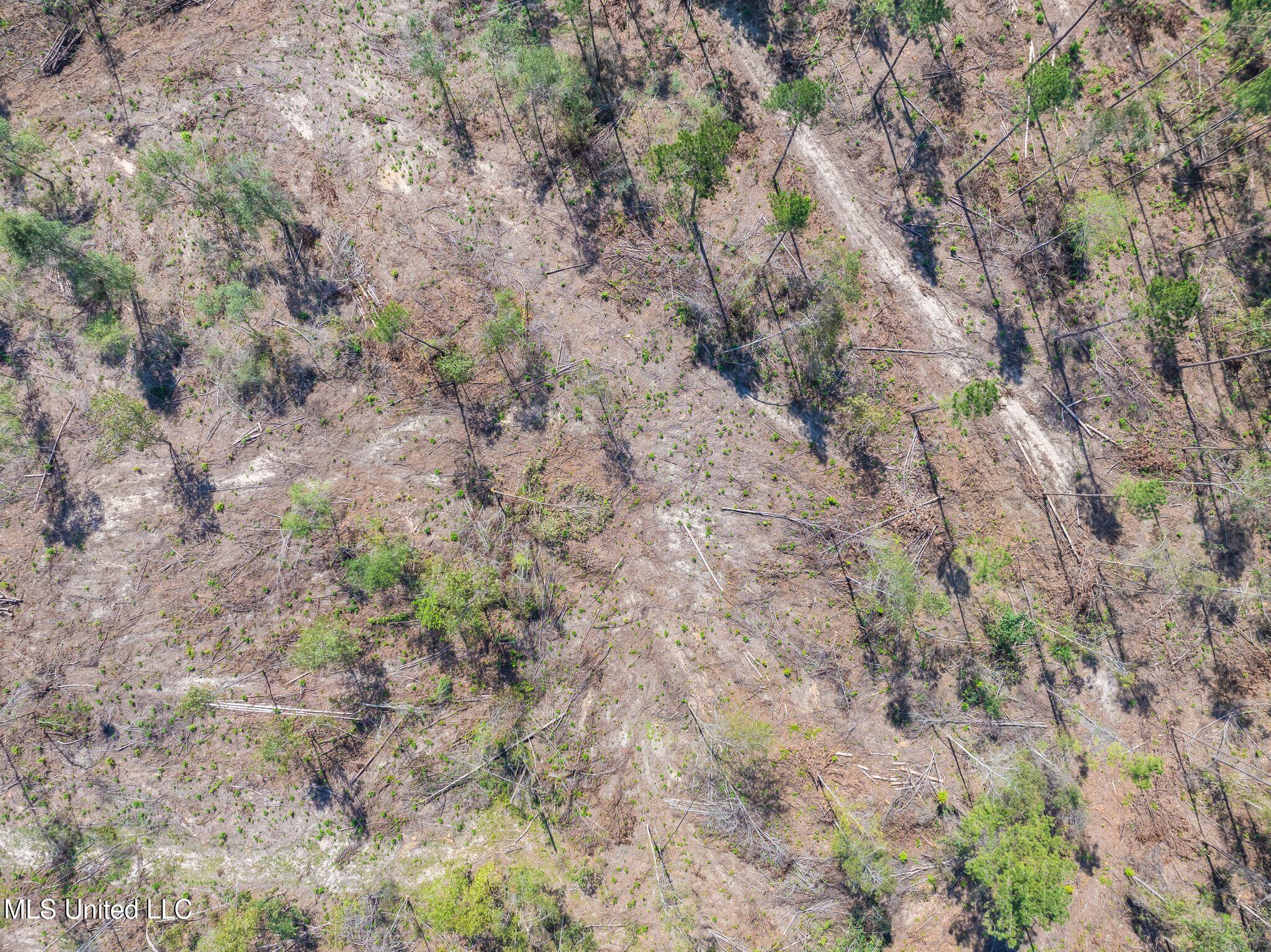 14.55 Shirley Sanford Road Seminary, MS 39479 - Photo 5 of 7 Shirley_Sanford_Rd_14_55_AC-5