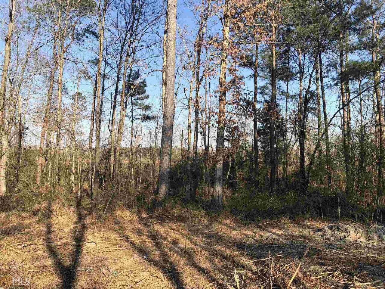0 Hill City Road Sugar Valley, GA 30746 - Photo 1 of 1 Gallery Image 1