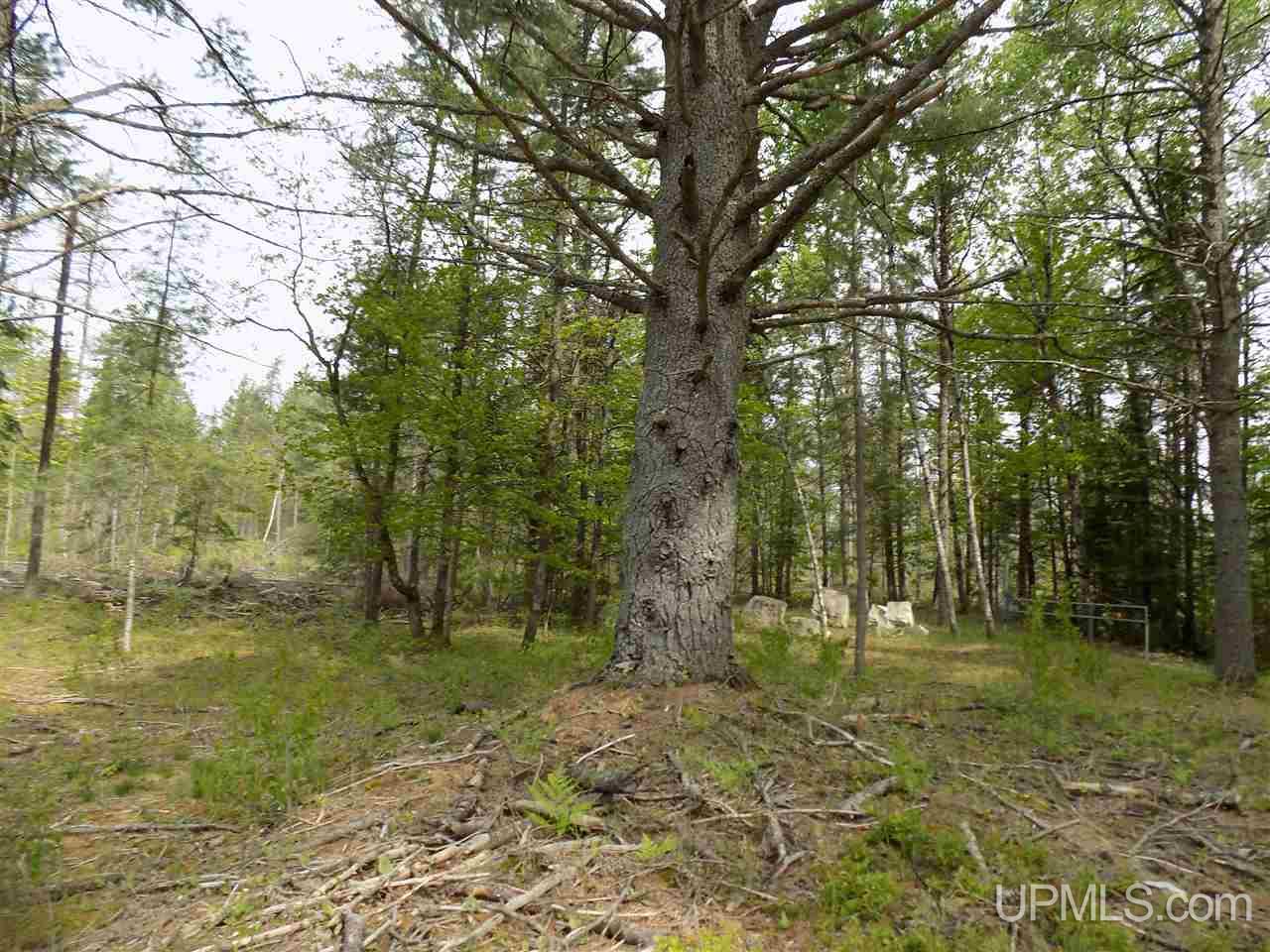 Tbd Slim's Road, Unit PARCEL B Manistique, MI 49854 - Photo 3 of 21