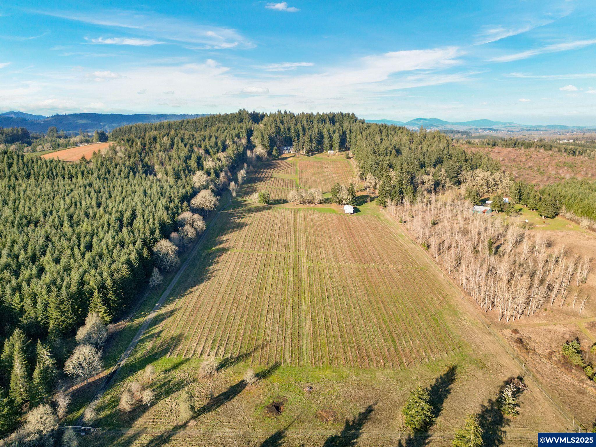 25041 Llewellyn Road Philomath, OR 97370 - Photo 47 of 50 Gallery Image 47