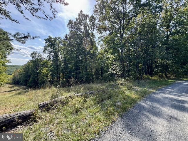 Hungaria Road Berkeley Springs, WV 25411 - Photo 4 of 15 Gallery Image 4