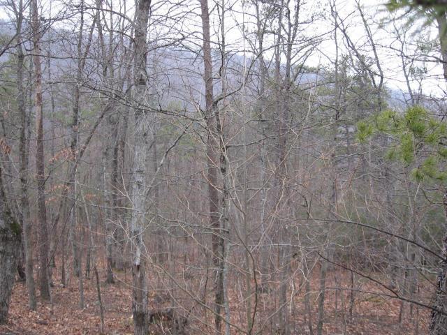 0 Bohon Hollow Road Salem, VA 24153 - Photo 1 of 1 Listing Photo