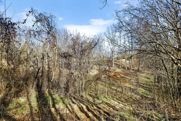 $459,000 | 1405 Cane Creek-Cummingsville Road, Sparta, TN 38583