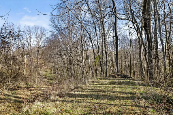 $459,000 | 1405 Cane Creek-Cummingsville Road, Sparta, TN 38583