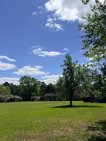 a view of a big yard with a large trees and plants
