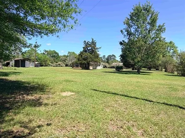 a view of a field with grass and a trees
