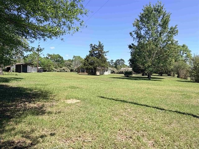 8957 Tejas Lane Silsbee, TX 77656 - Photo 45 of 50 a view of a field with grass and a trees
