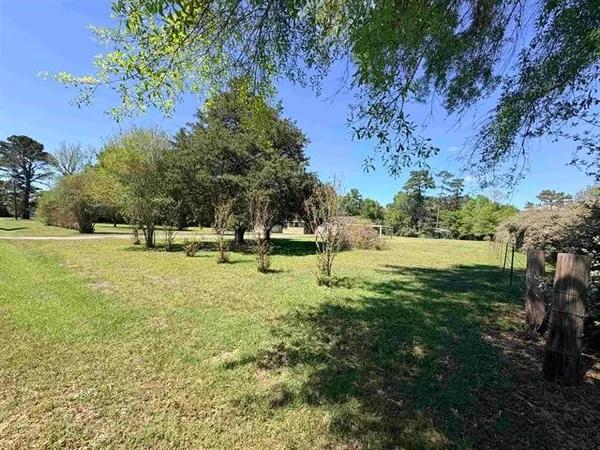 a view of a park with large trees