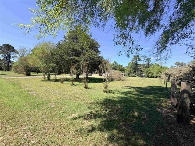 8957 Tejas Lane Silsbee, TX 77656 - Photo 47 of 50 a view of a park with large trees