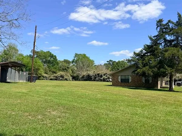 a view of a grassy field with trees in the background