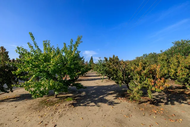 a view of road with house in the background