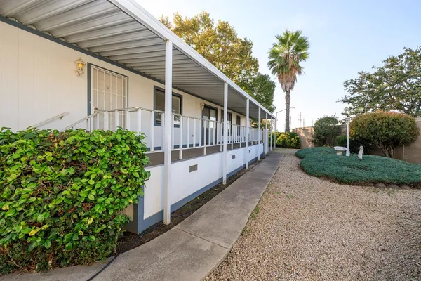a white house that has tree in front of it