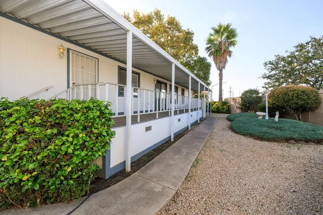 a white house that has tree in front of it