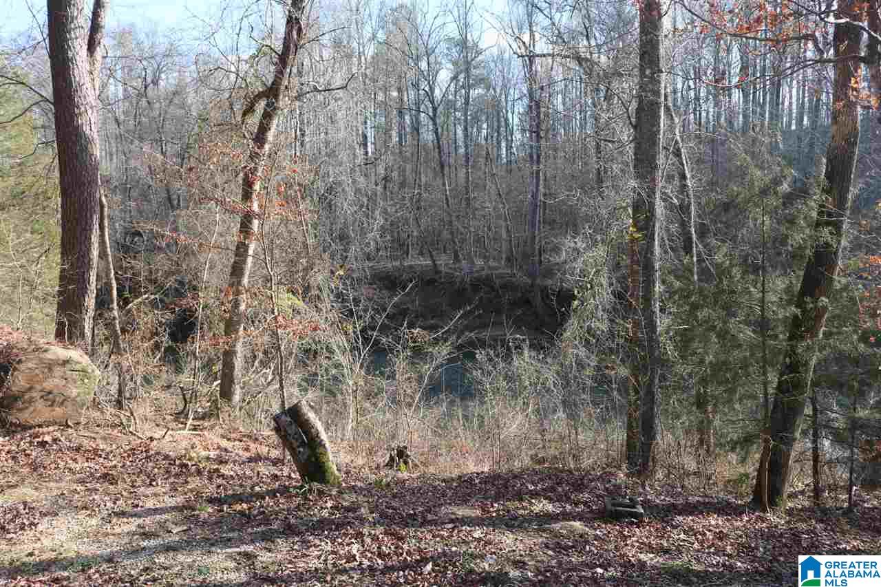 707 Toadvine Road Bessemer, AL 35023 - Photo 17 of 26