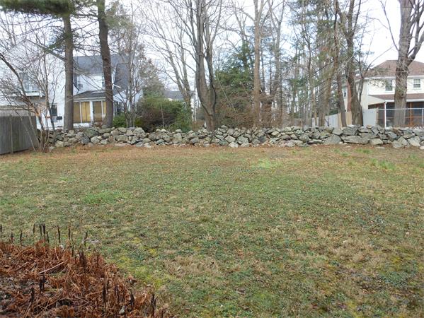 57 Buckingham Road Milton, MA 02186 - Photo 6 of 9 a view of yard with trees