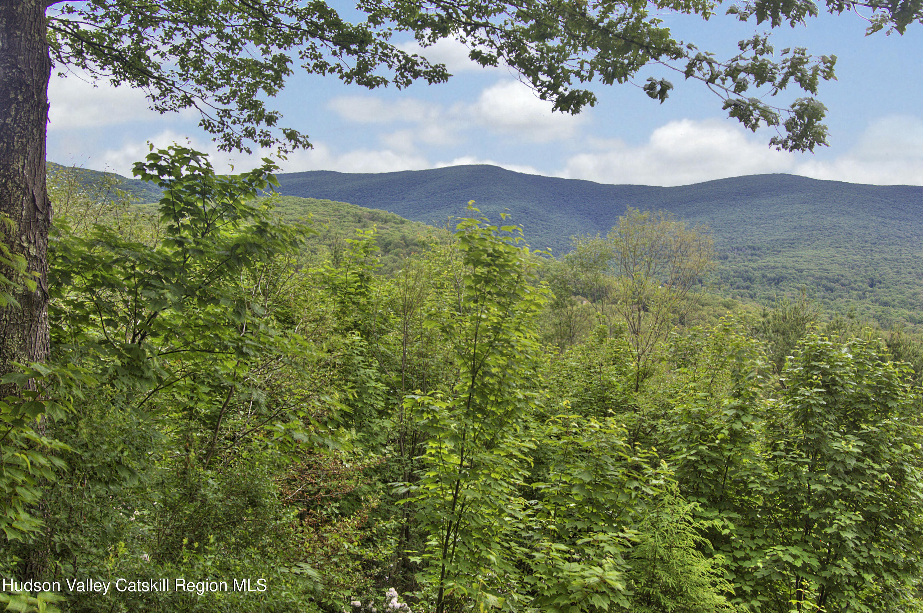 106 Camp Adventure Road Kerhonkson, NY 12446 - Photo 13 of 17 15