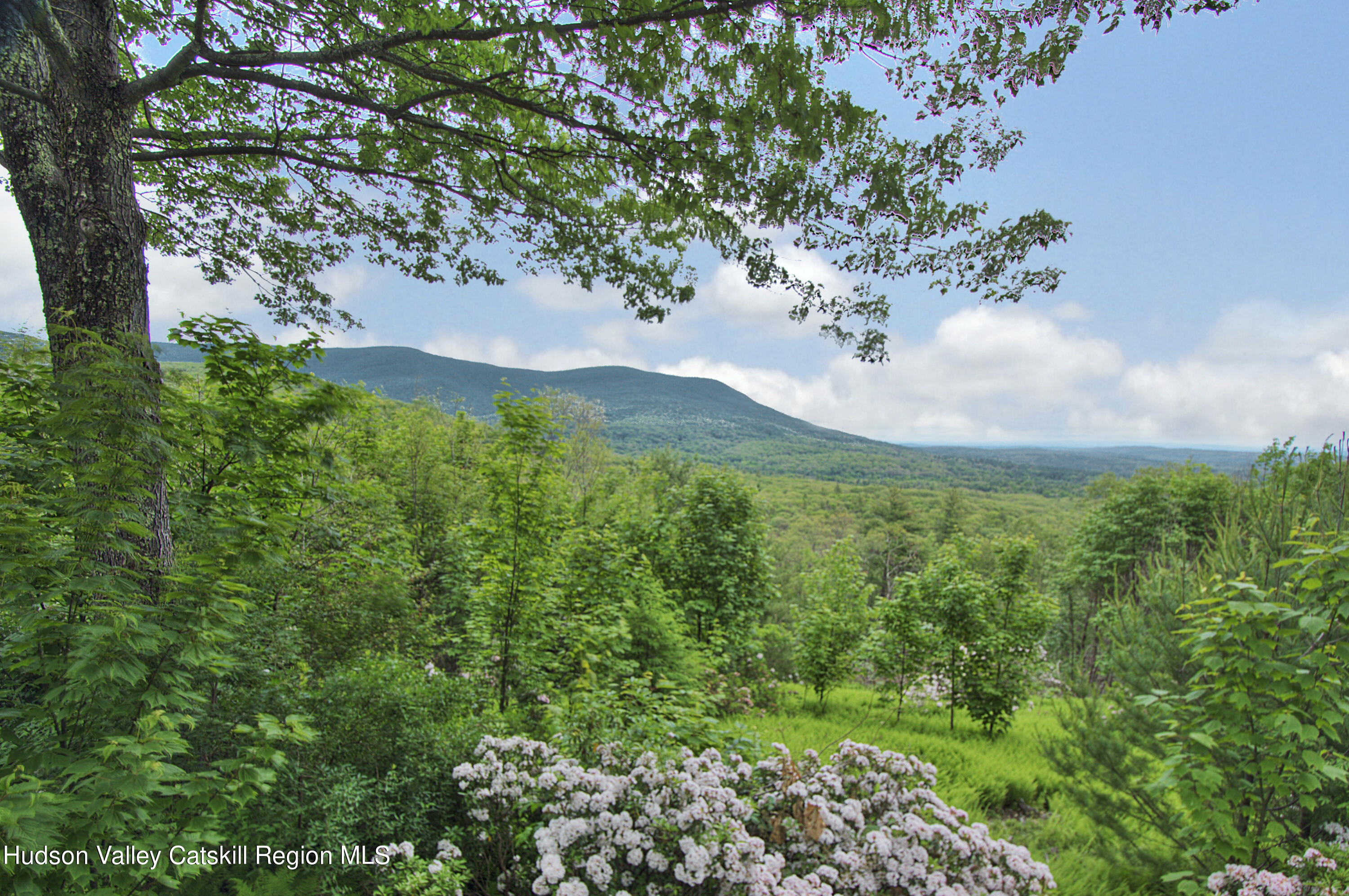 106 Camp Adventure Road Kerhonkson, NY 12446 - Photo 15 of 17 11
