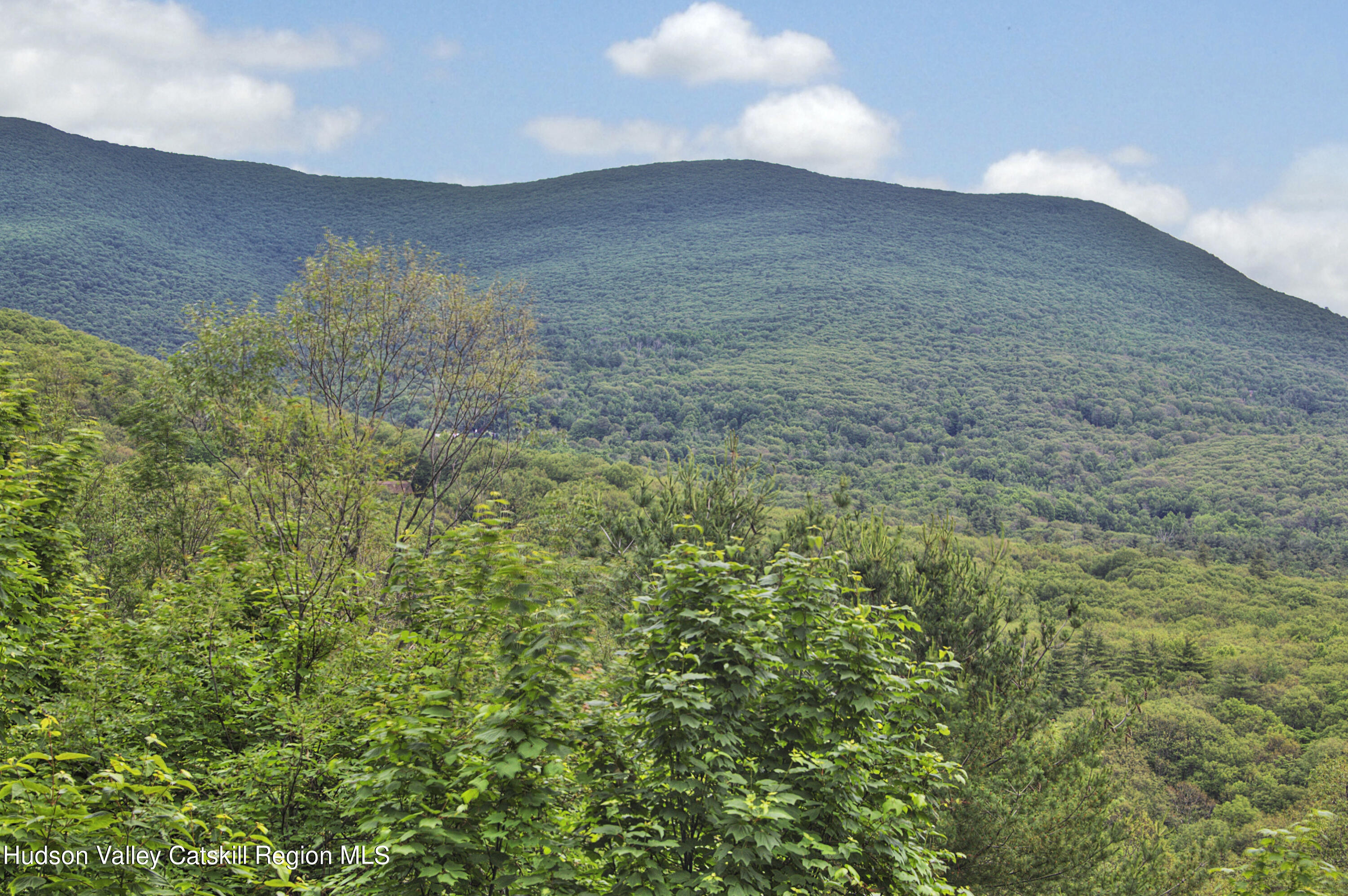 106 Camp Adventure Road Kerhonkson, NY 12446 - Photo 2 of 17 13