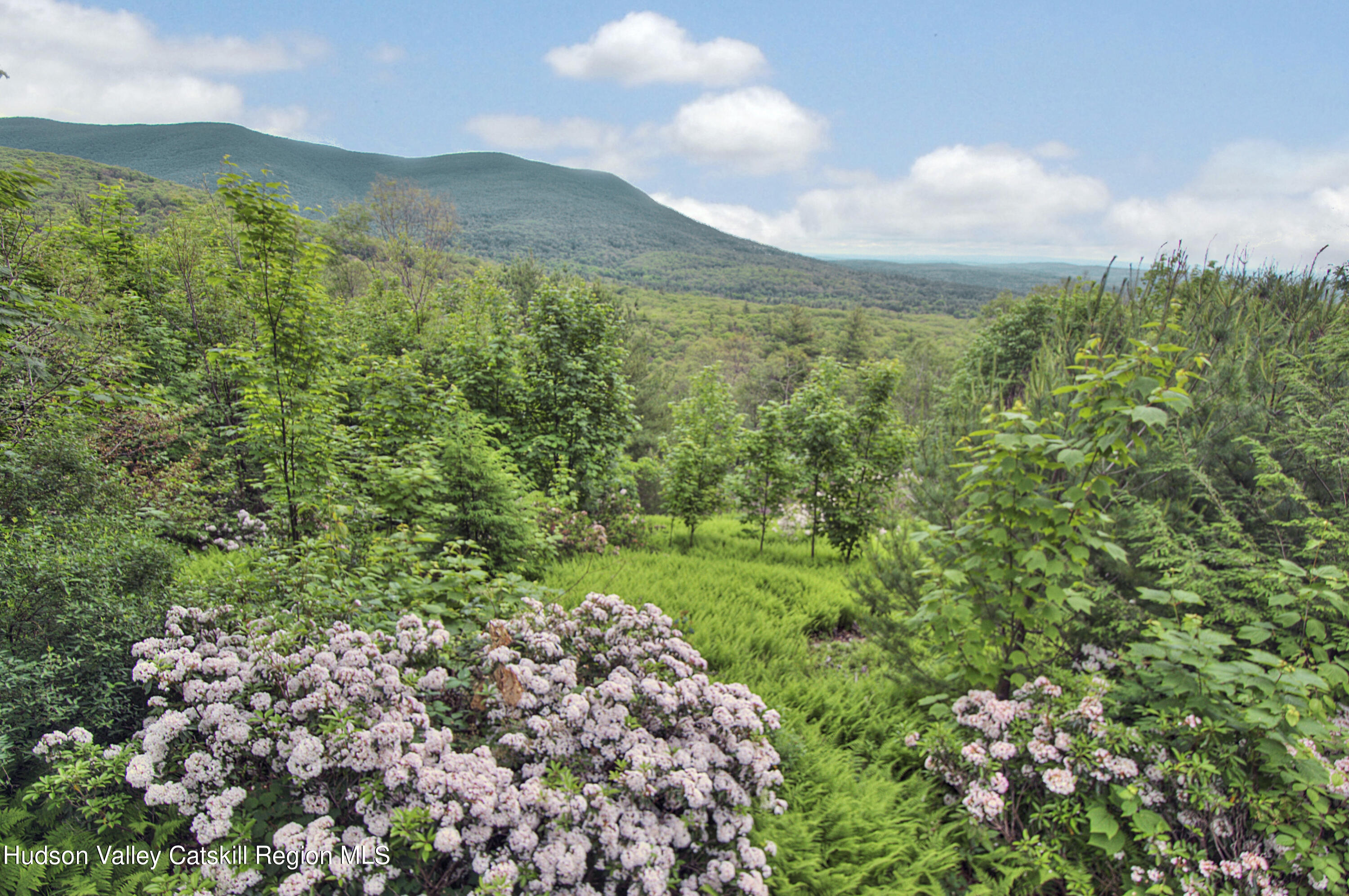 106 Camp Adventure Road Kerhonkson, NY 12446 - Photo 9 of 17 10