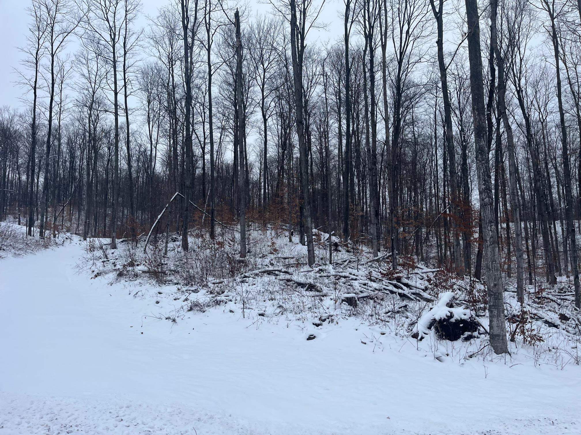 South Hill Road, Unit PARCEL B Cedar, MI 49621 - Photo 3 of 17
