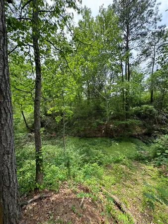 a view of a garden