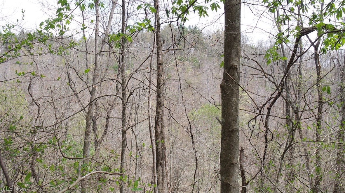 Mt Hope Ridge Road Graysville, OH 45734 - Photo 13 of 21 Gallery Image 13
