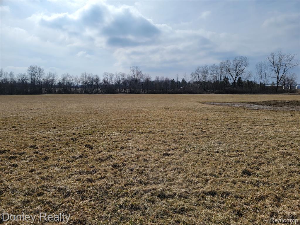 6750 Lanway Road Marlette, MI 48453 - Photo 7 of 12