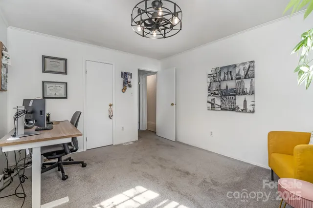 a view of a trees with a yard