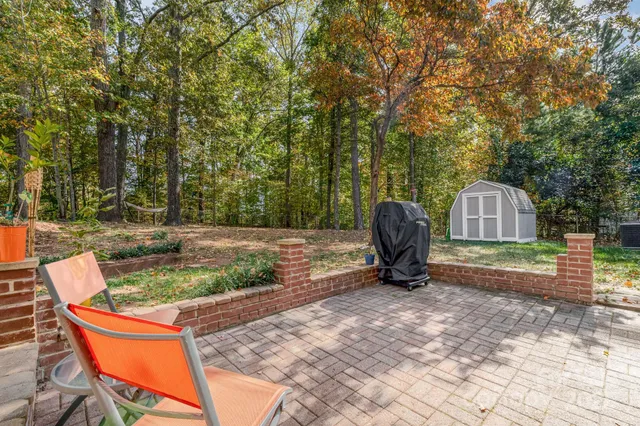 a view of backyard with tree