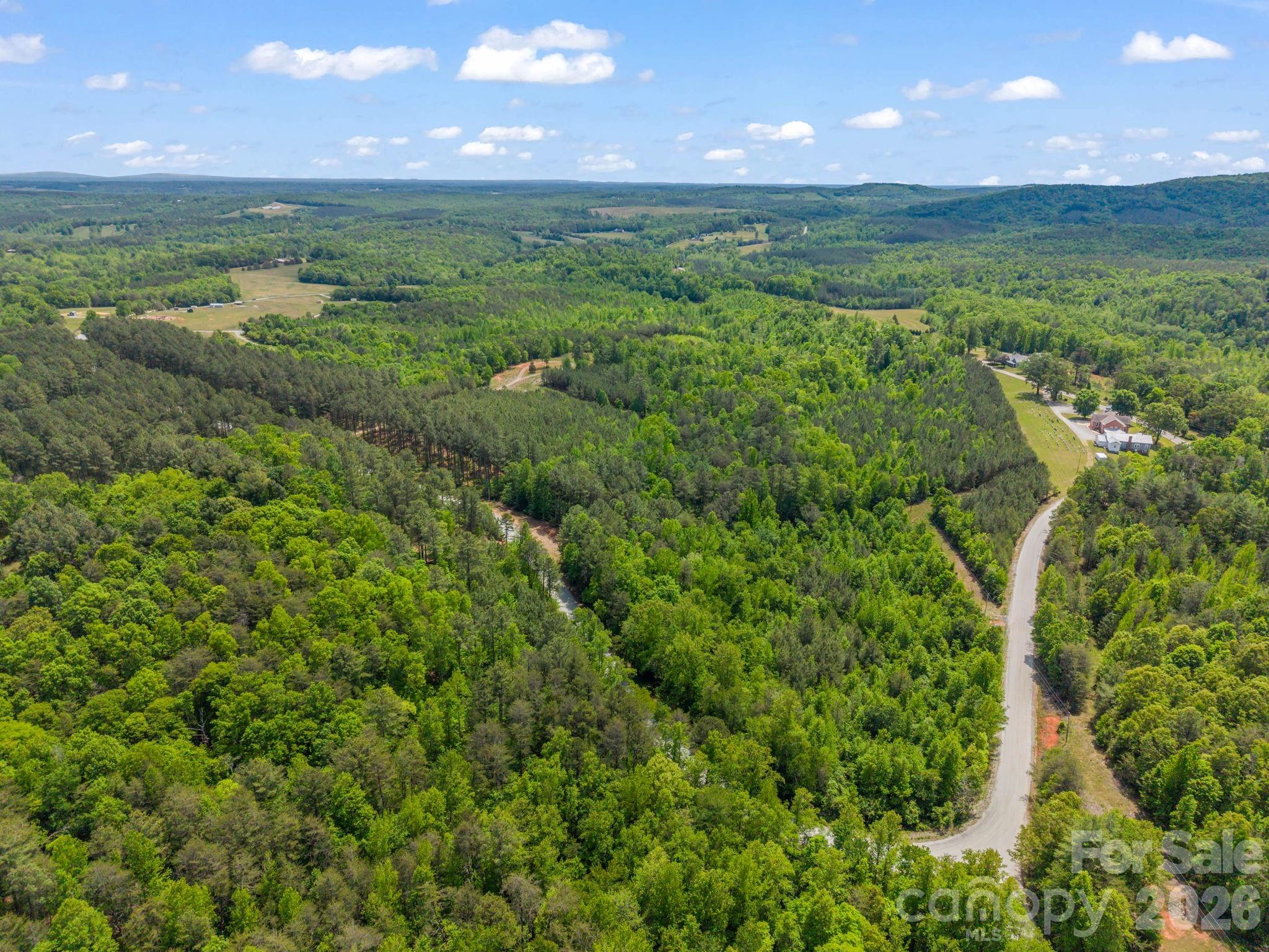 0 Romey Campbell Road Ellenboro, NC 28040 - Photo 14 of 41