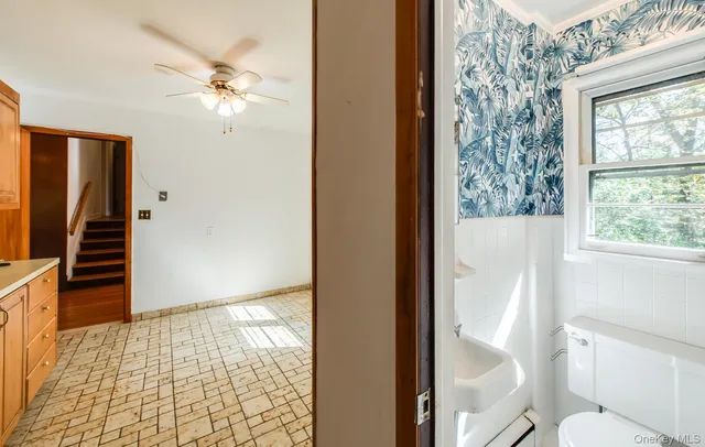 a view of a yard with plants and trees