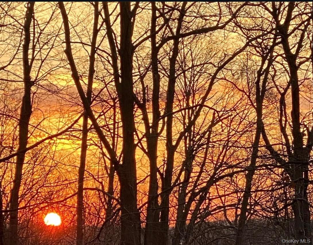 19 Ridgeview Road Poughkeepsie, NY 12603 - Photo 43 of 48